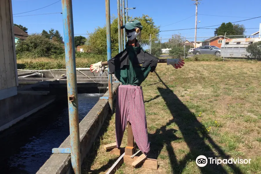 Rowdy Creek Fish Hatchery