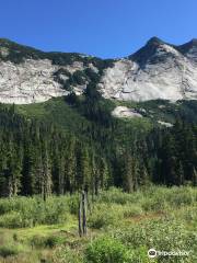 Aire de loisir de Coquihalla Summit