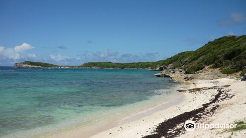 Anse à la Gourde