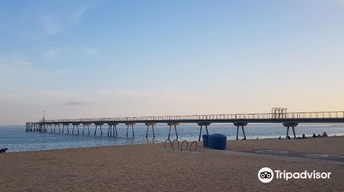 Pont del Petroli