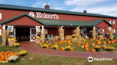 Eckert's Orchard