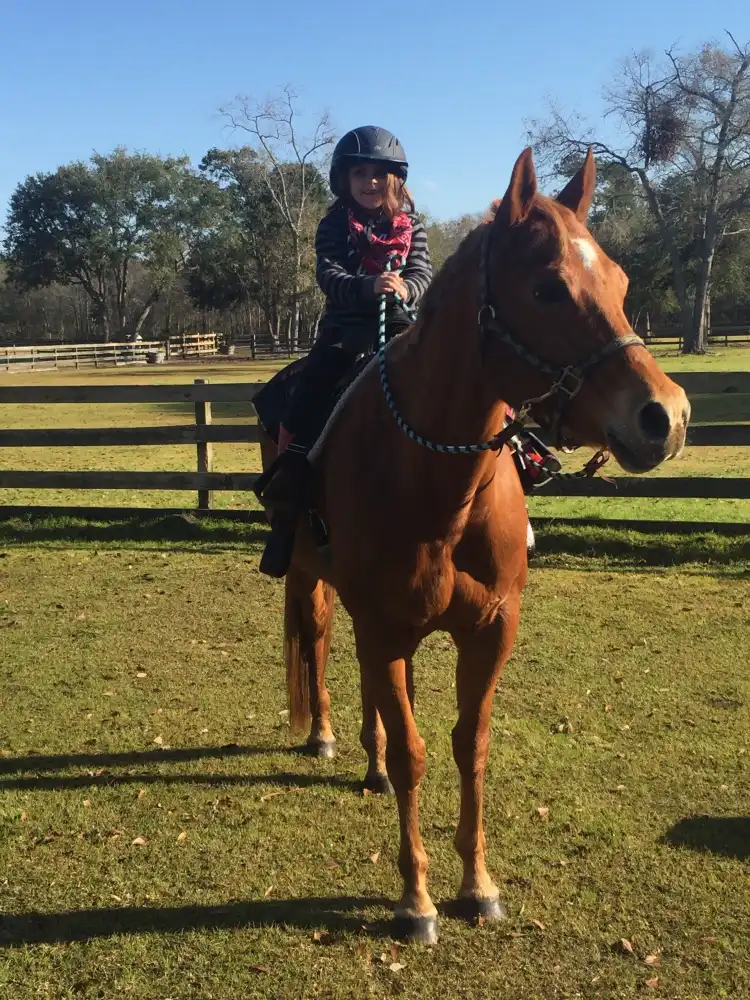 Hotels in Johns Island