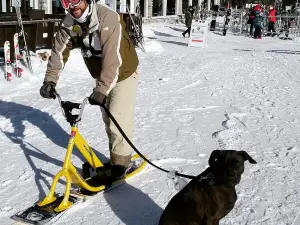 Ski Chantecler