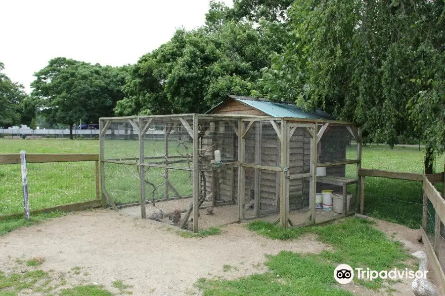 Kinderboerderij de Goffert