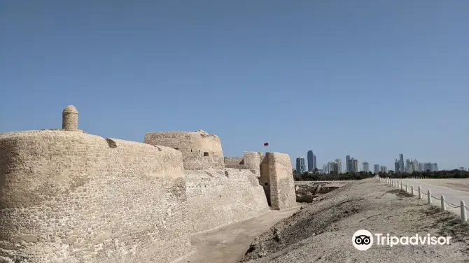 5_Arad Fort