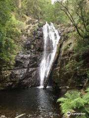 Mathinna Falls