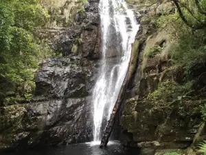 Mathinna Falls