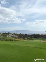 Wailea Old Blue Course