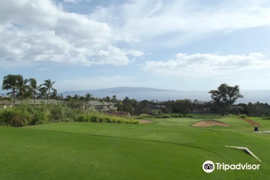 Wailea Old Blue Course