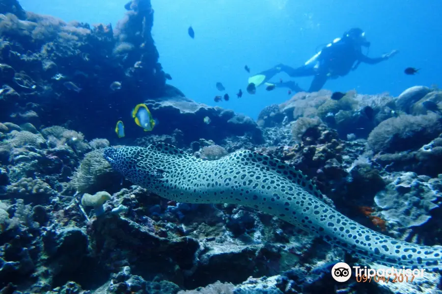 Lembongan Discovery Dive