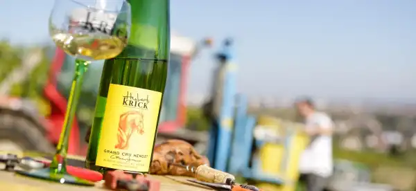 Hotele w: Wintzenheim