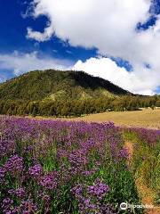 Ranu Kumbolo Lake