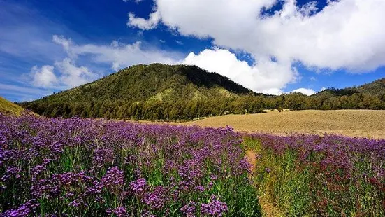 Ranu Kumbolo Lake