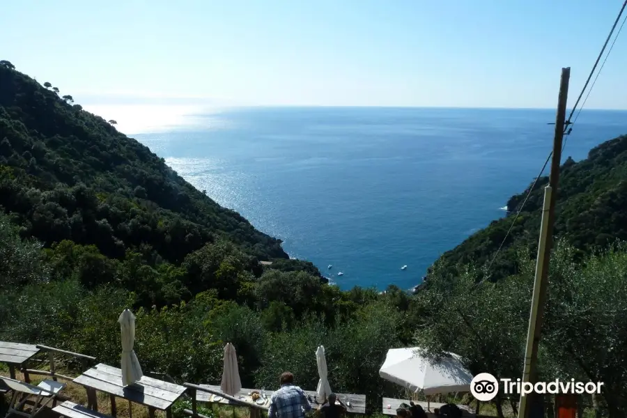 Agridiving Portofino