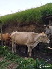 San Bosco Eco-Farm