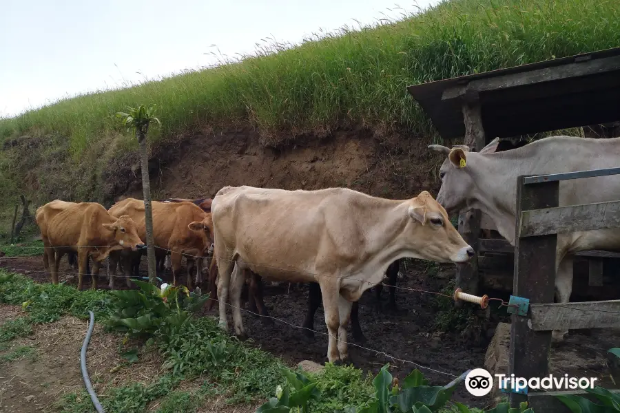 San Bosco Eco-Farm