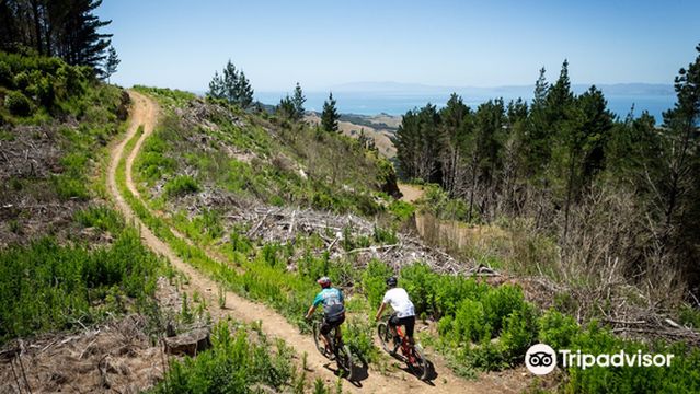 Fourforty Mountain Bike Park