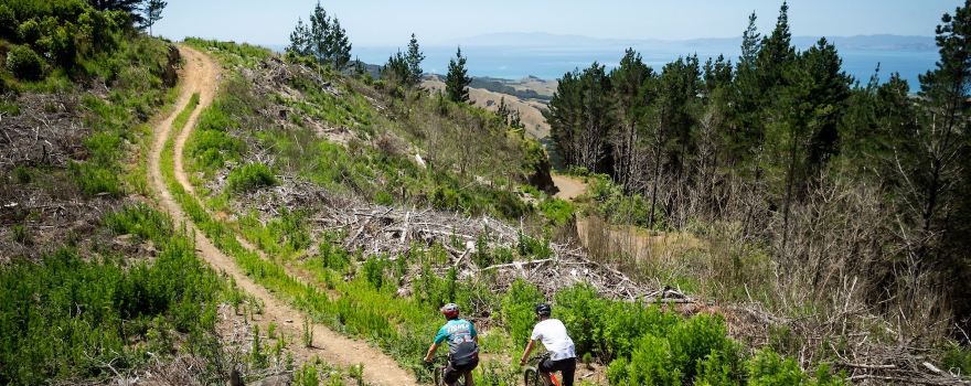 Fourforty Mountain Bike Park