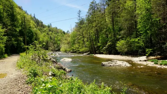 Laurel River Trail