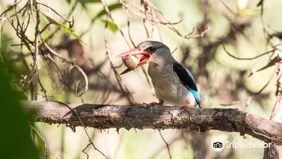 Amanzimtoti Bird Sanctuary
