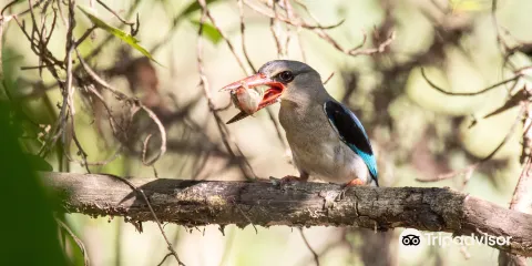 Amanzimtoti Bird Sanctuary