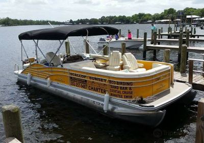 Mellow Mangrove Charters - Fishing Charter, Scallop Charter, Manatee Tours