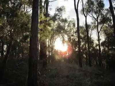 Croydon North