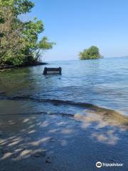 Scheeff East Point Nature Preserve