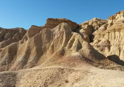 Dalanzadgad