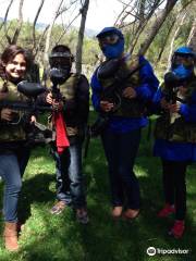 Paintballpaute