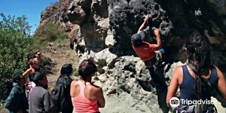 洛斯奧利沃斯區