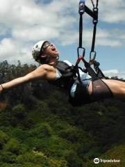 Piiholo Ranch Zipline