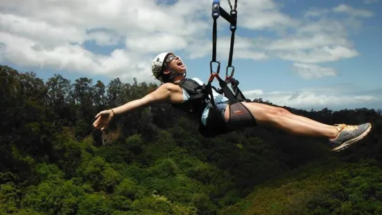 Piiholo Ranch Zipline