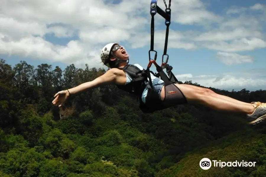 Piiholo Ranch Zipline