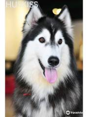 Huskiss