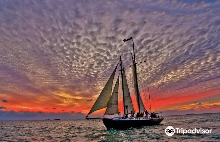 Schooner Hindu and the Cutter Bloodhound