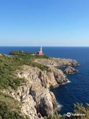 Fortini Coastal Walk