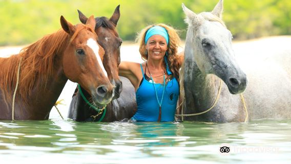 Being-with-horses
