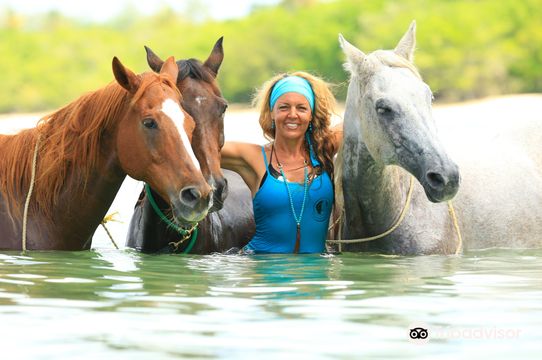 Being-with-horses