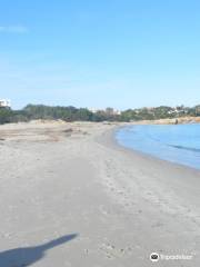 Spiaggia Del Romazzino