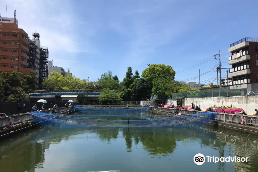Toyosumi Fishing Pond