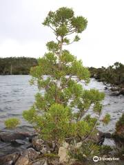 Lake Esperance