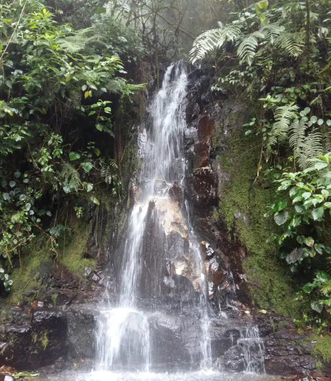 Agua Caliente