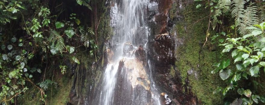 Agua Caliente