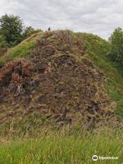 Harryville Motte and Bailey