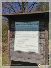 Pestruper Graberfeld