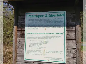 Pestruper Gräberfeld