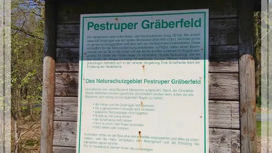 Pestruper Graberfeld