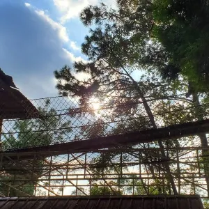 東勢林場遊樂區