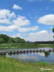 Yatsu-Higata mudflat